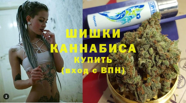 ПСИЛОЦИБИНОВЫЕ ГРИБЫ Кулебаки