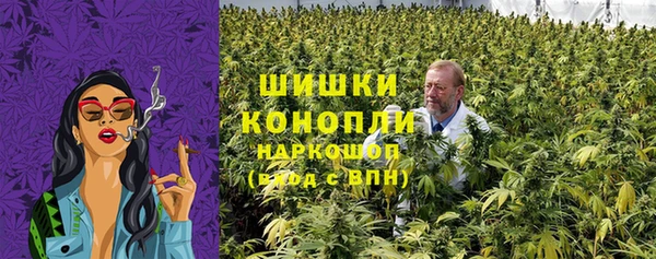 крисы Куйбышев