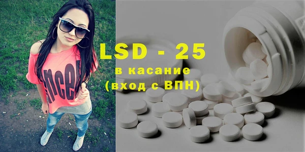 ПСИЛОЦИБИНОВЫЕ ГРИБЫ Кулебаки
