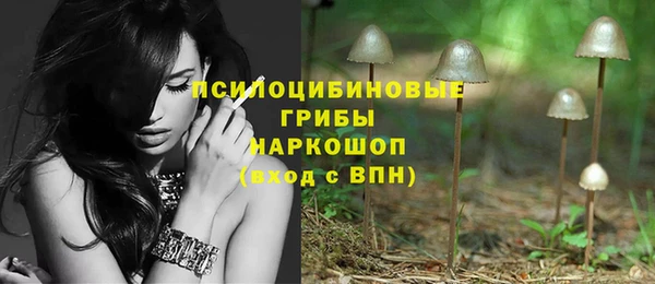 крисы Куйбышев